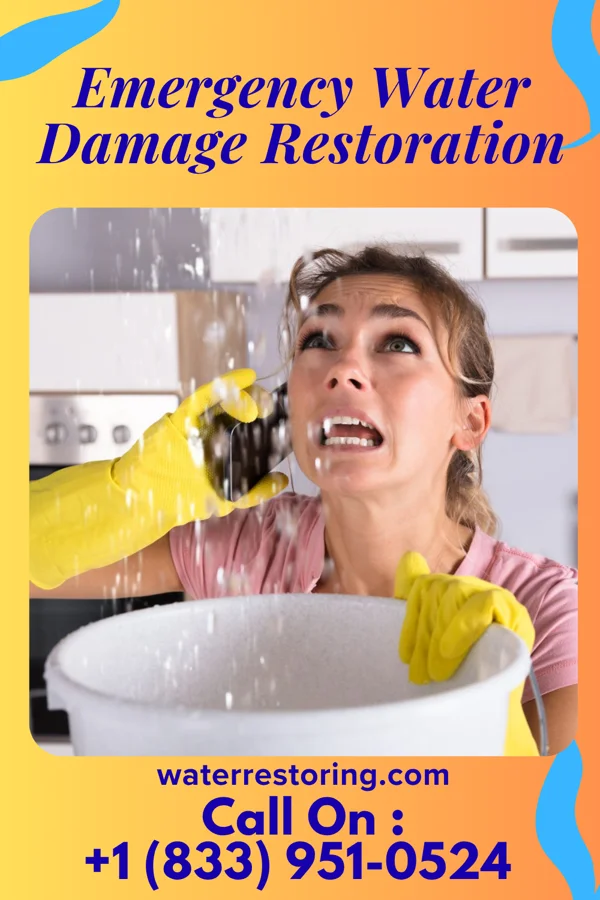 Emergency Water Damage Restoration in Dublin, NC