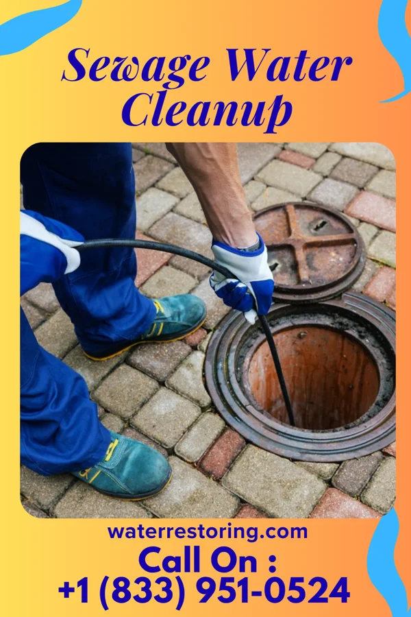 Sewage Water Cleanup in Dublin, NC