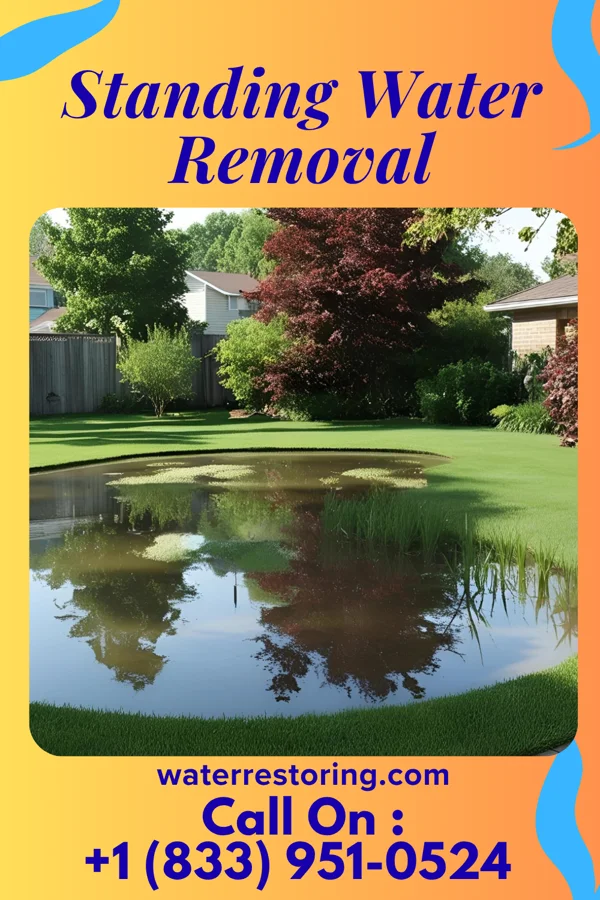 Standing Water Removal in Dublin, NC
